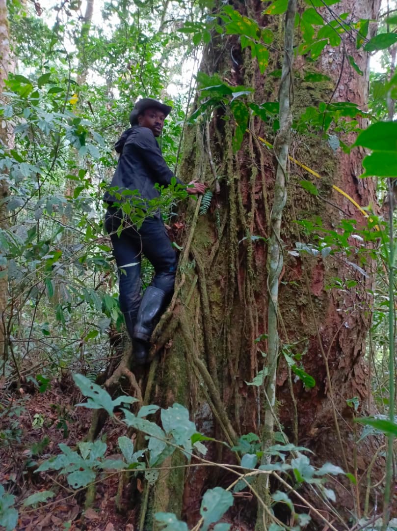 Prof Ahanamungu Makelele Isaac