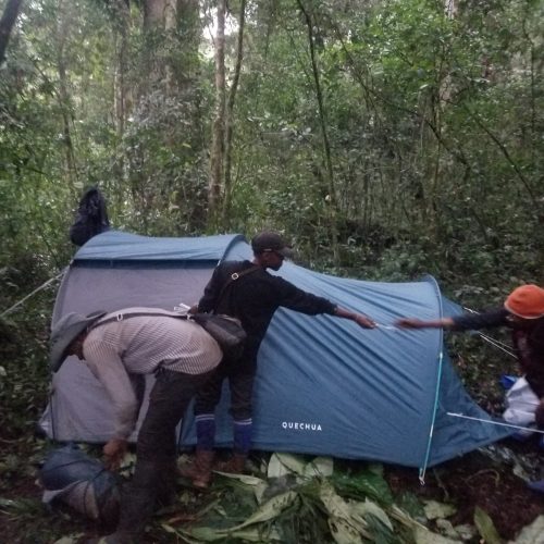 Mission de terrain dans la Réserve Naturelle d’Itombwe(RNI)