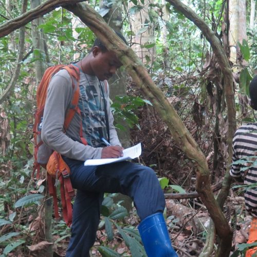 Implementing permanent observation plots to assess the Albertine Rift ecosystems functioning under a changing environment